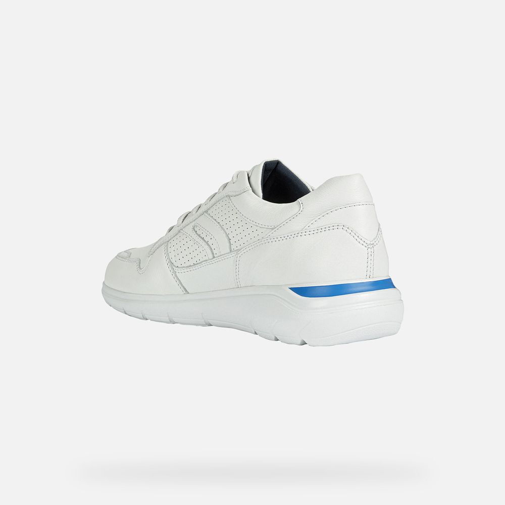 Geox Erkek Spor Ayakkabı Beyaz - Sestiere - FJV-137690